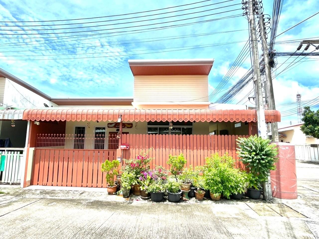 บ้านโซนในเมือง ฉลอง WR-01983 1